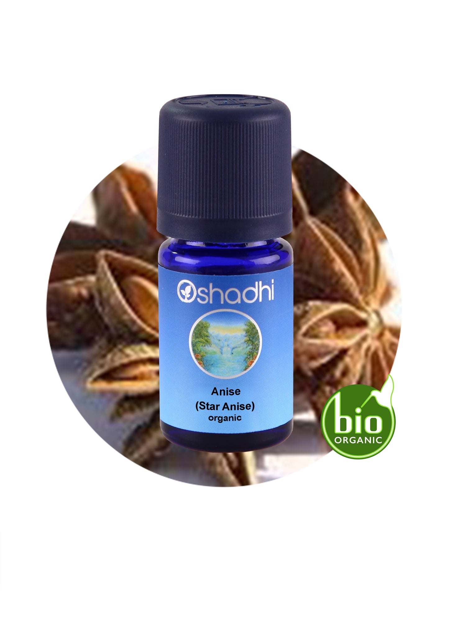 Anise, Star (organic)
