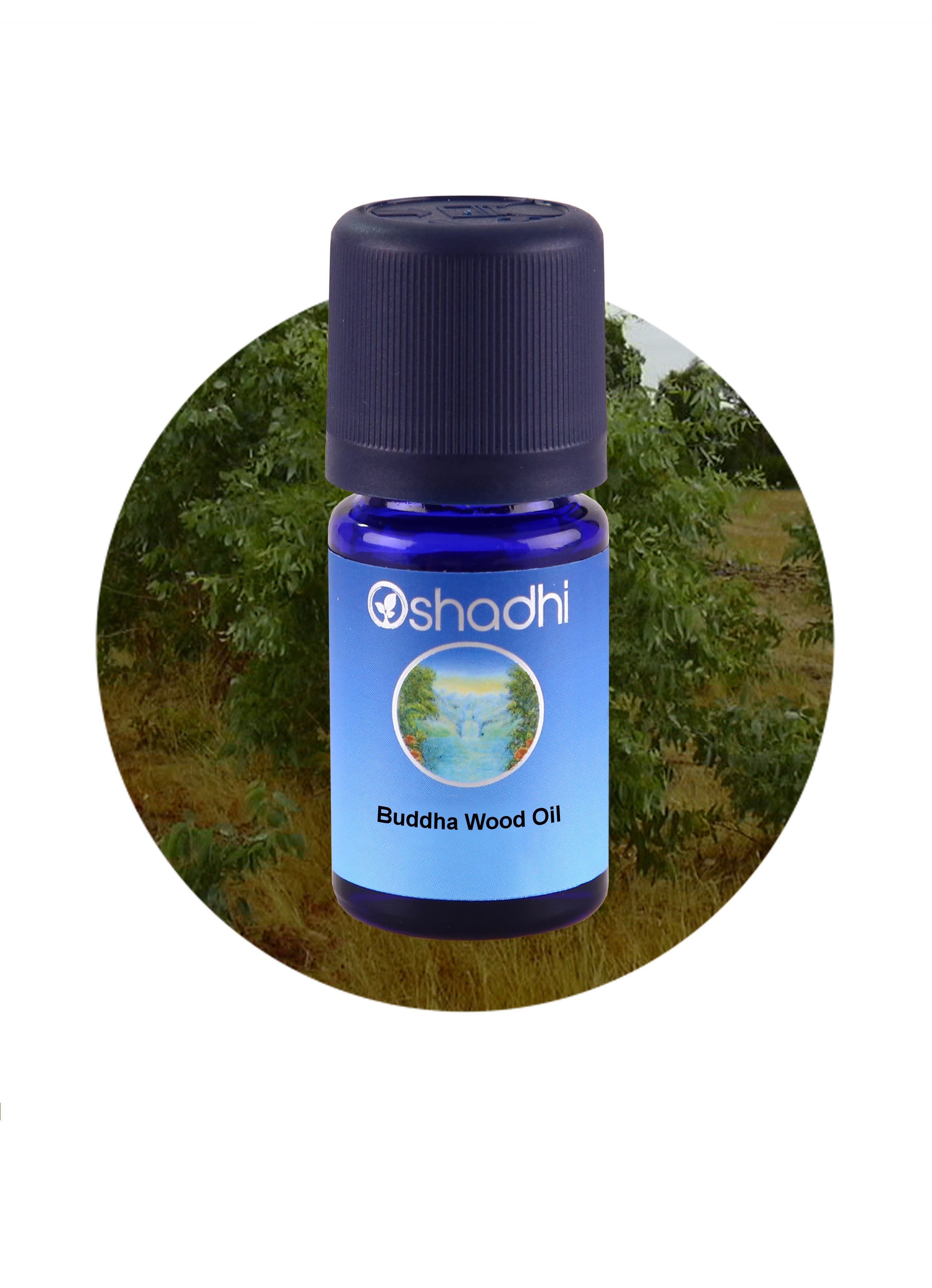 Buddha Wood Oil Essential Oil Aroma Oshadhi Essential Oils