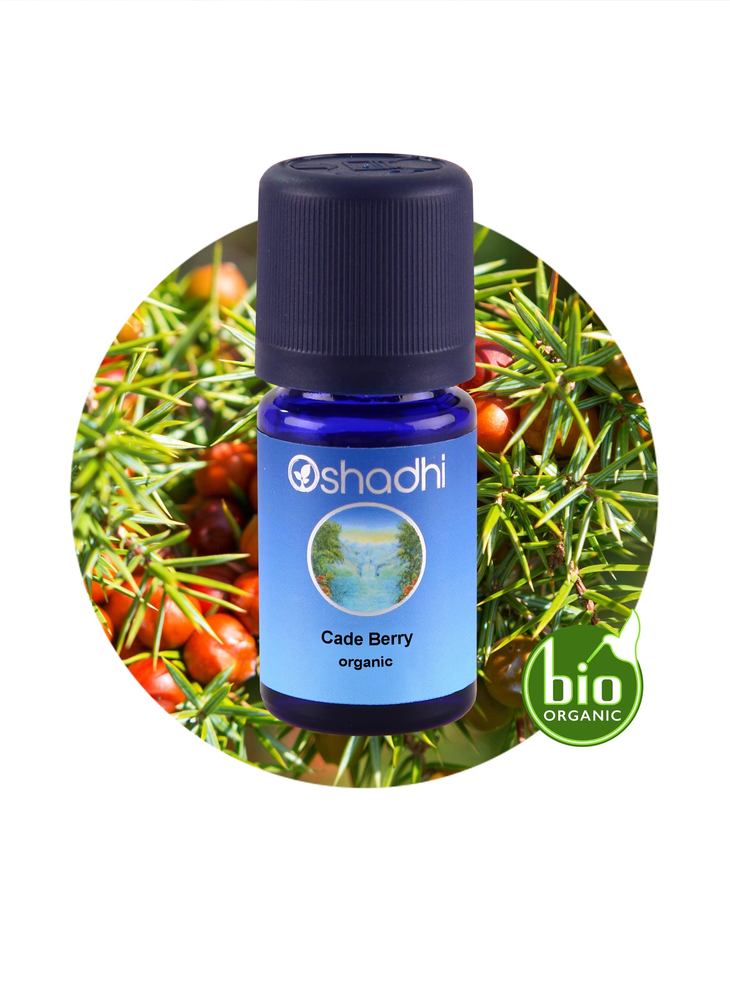 Cade Berry (organic)