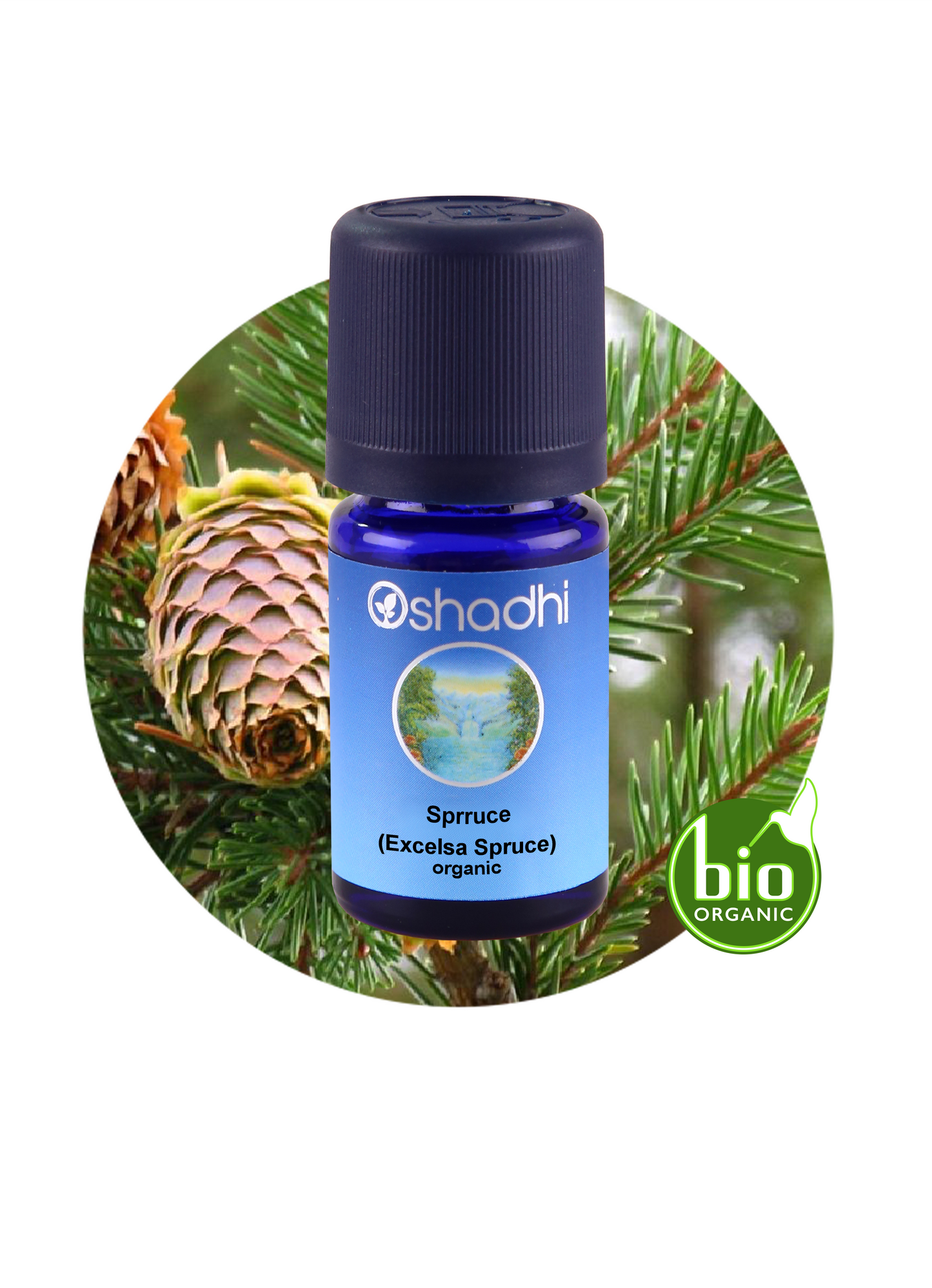 Spruce (Excelsa Spruce) organic