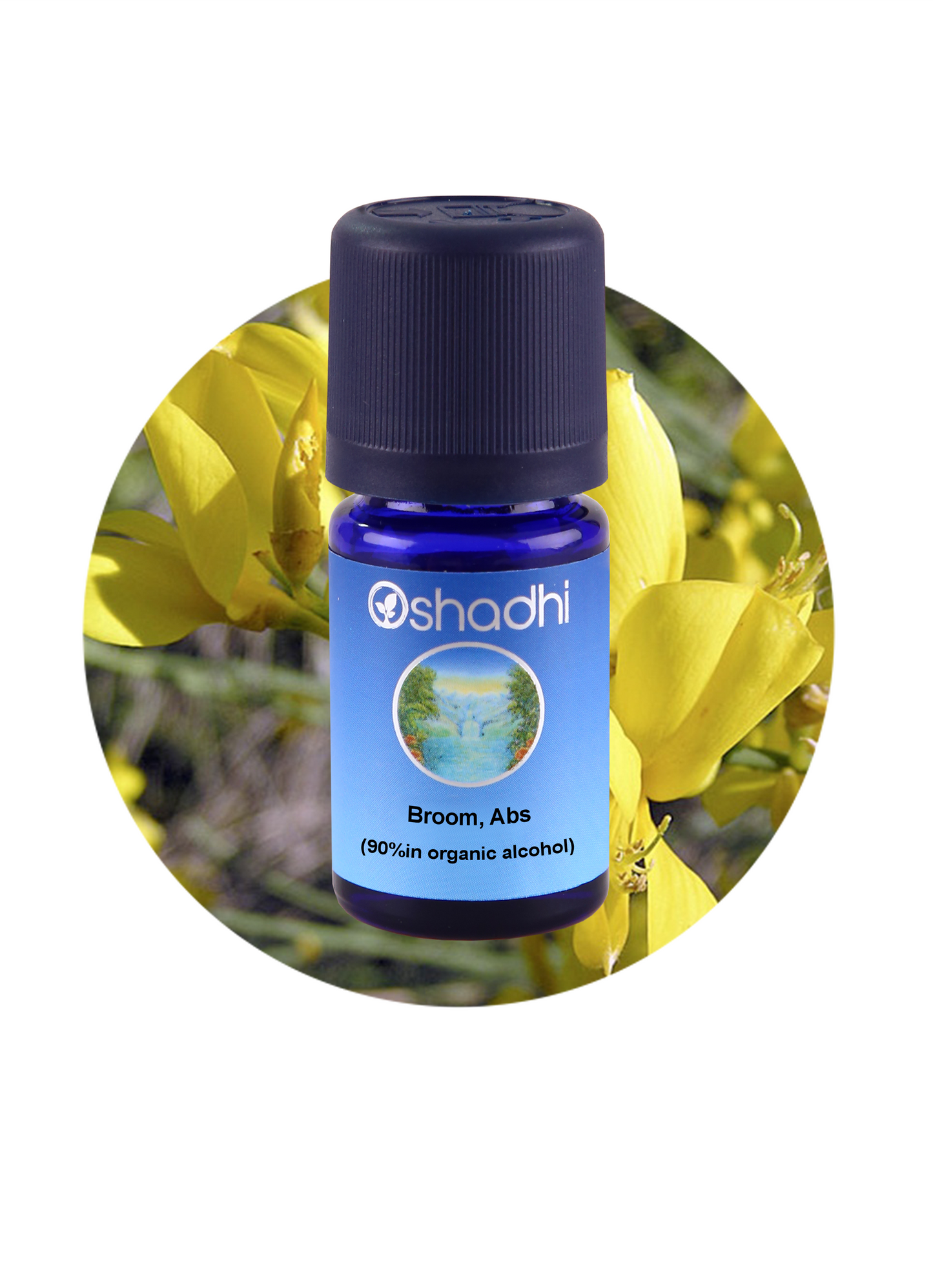 Broom, Absolute (90% in organic alcohol)