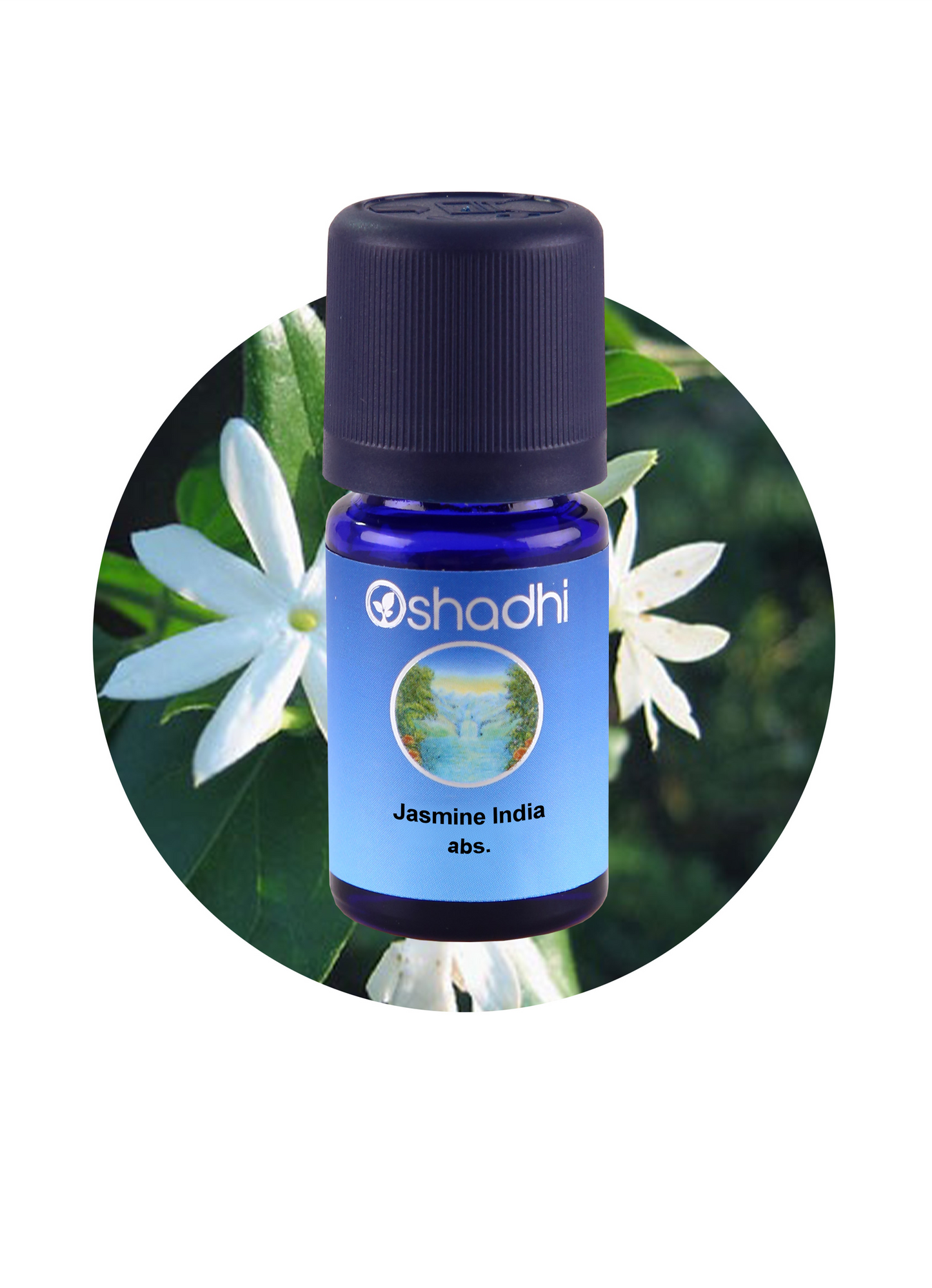 Jasmine, Auriculatum (Absolute)