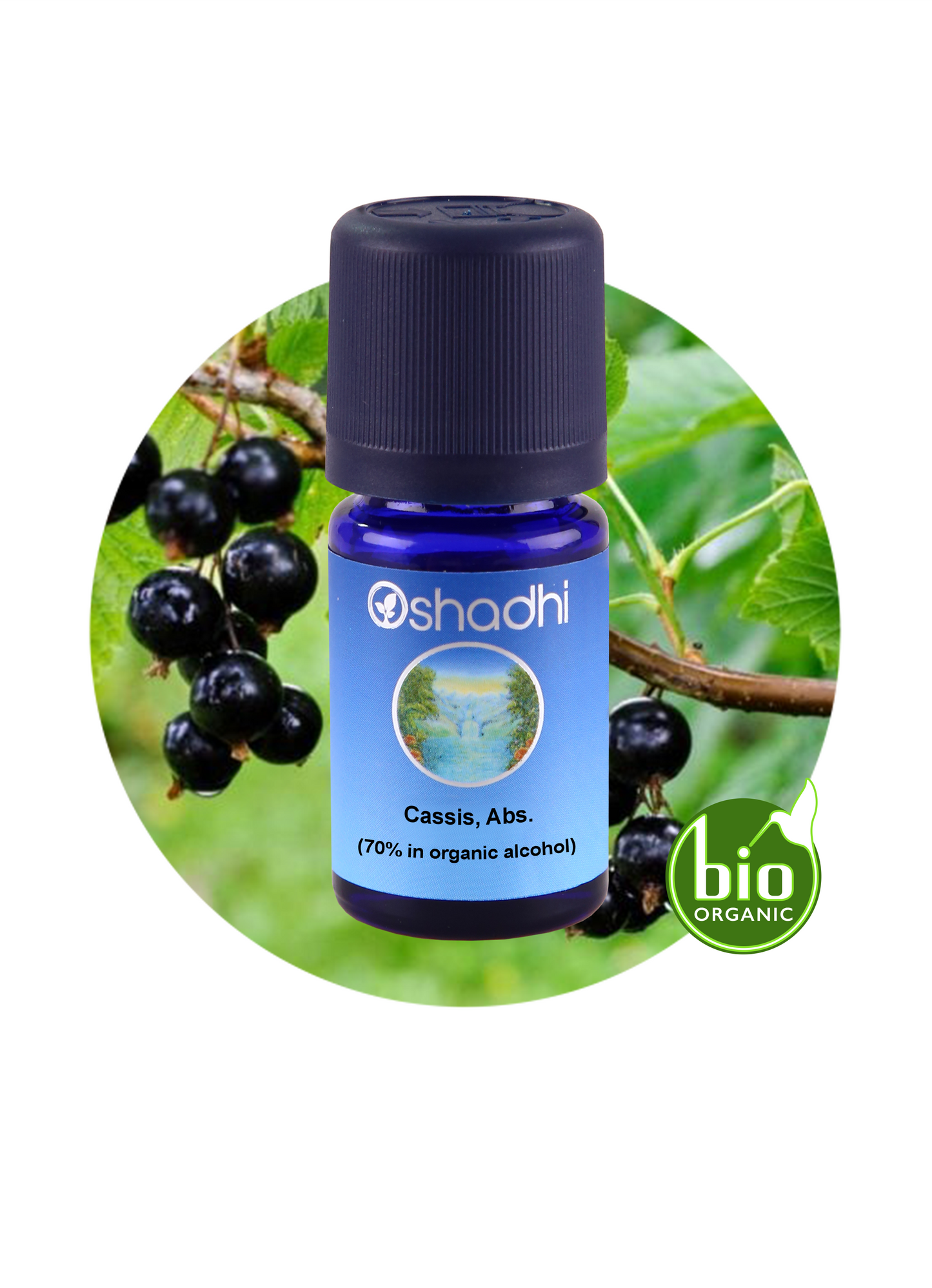 Cassis, Absolute (70% in organic alcohol)