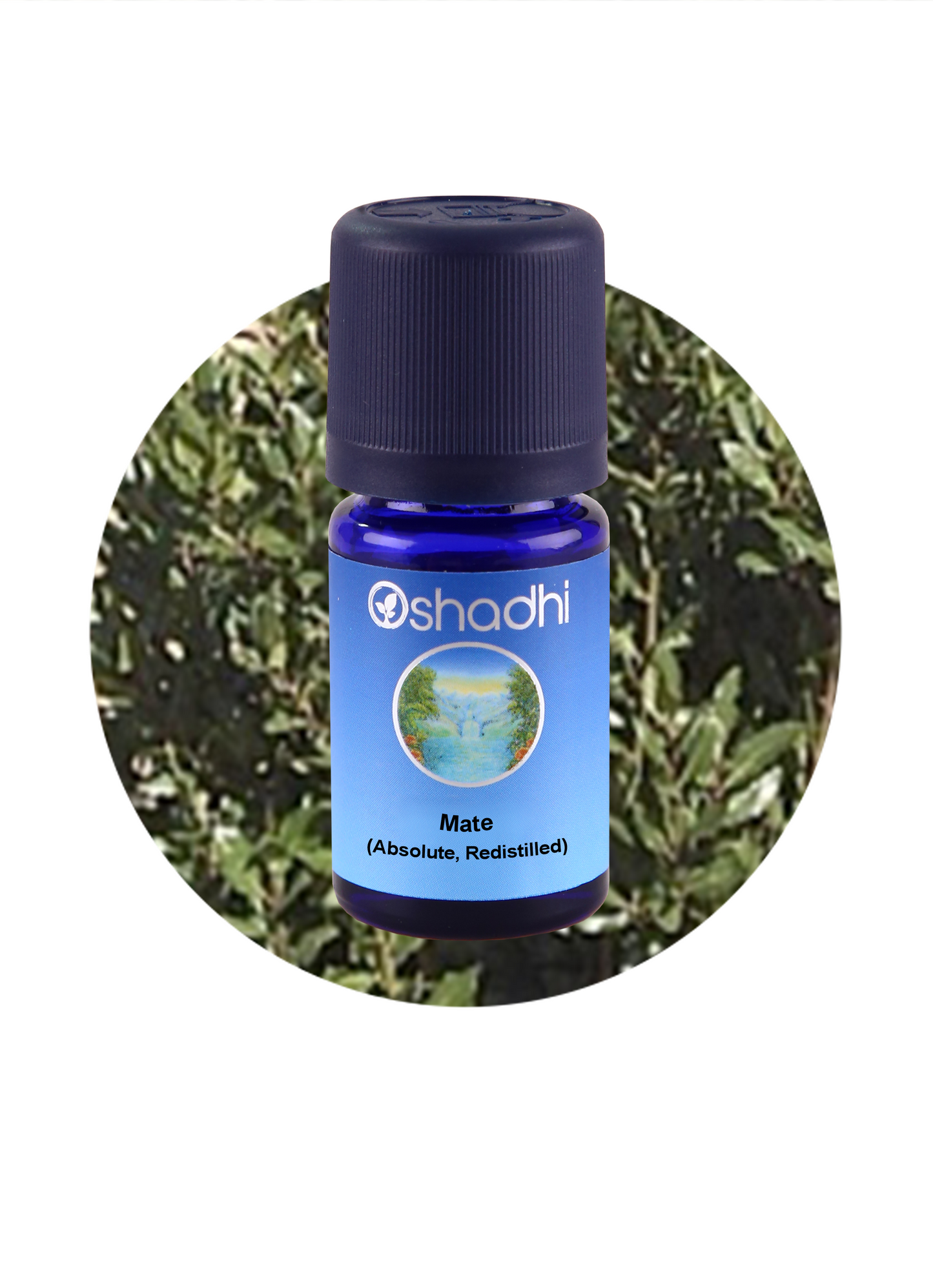 Mate (Absolute, Redistilled)