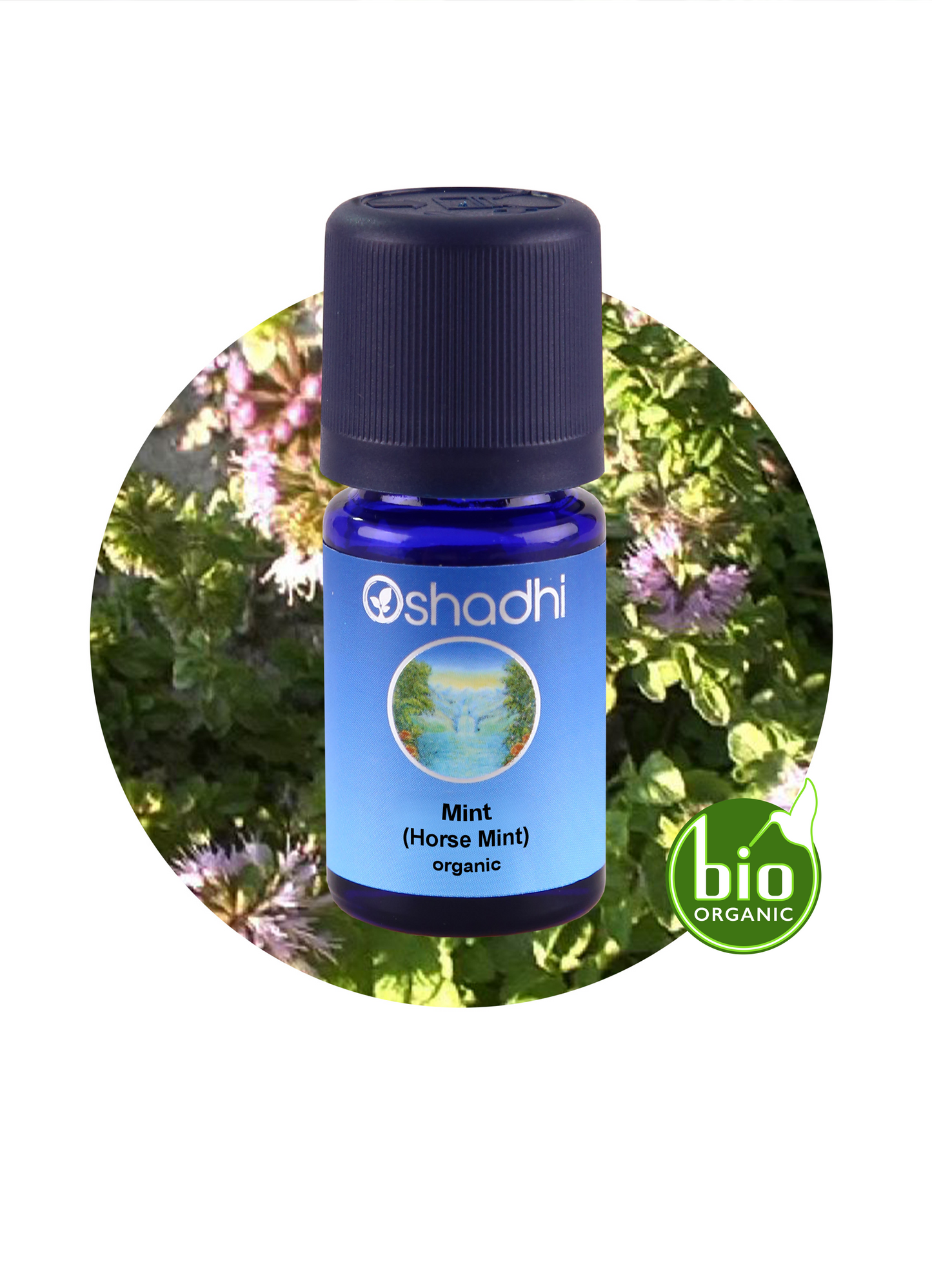 Mint, Horse (Organic)