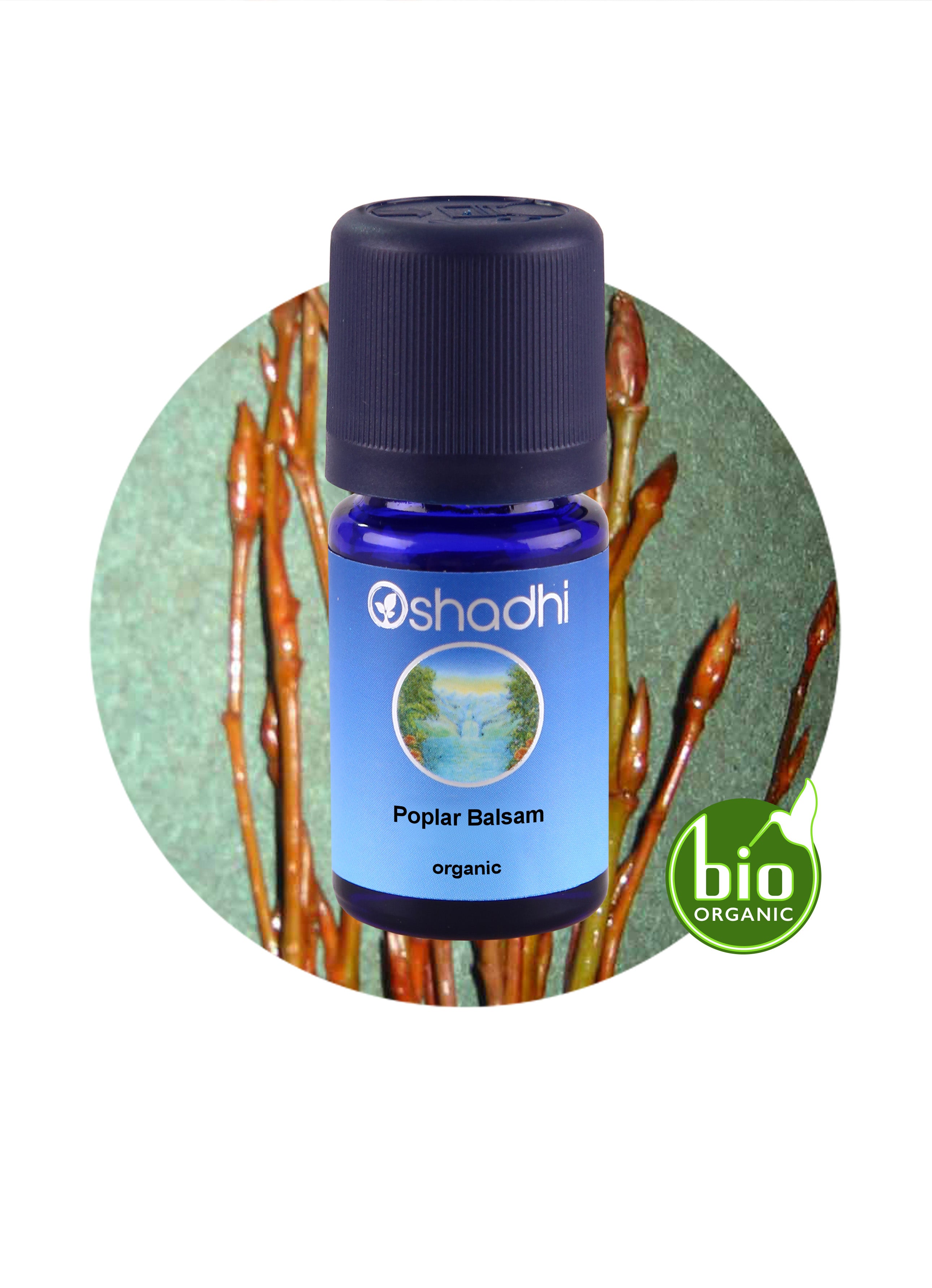 Poplar Balsam organic Essential Oil Aroma Oshadhi Essential Oils