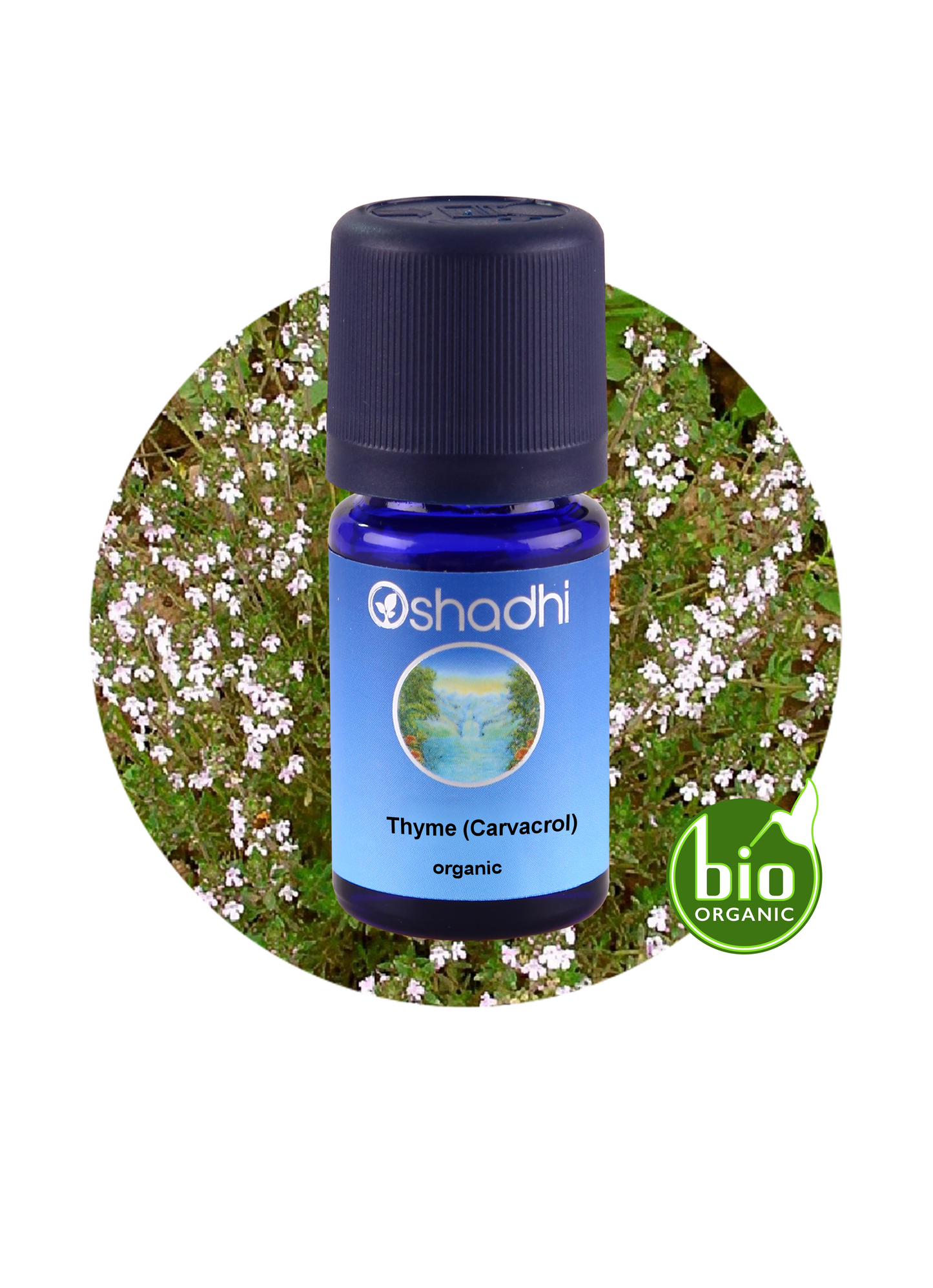 Thyme (Carvacrol) organic