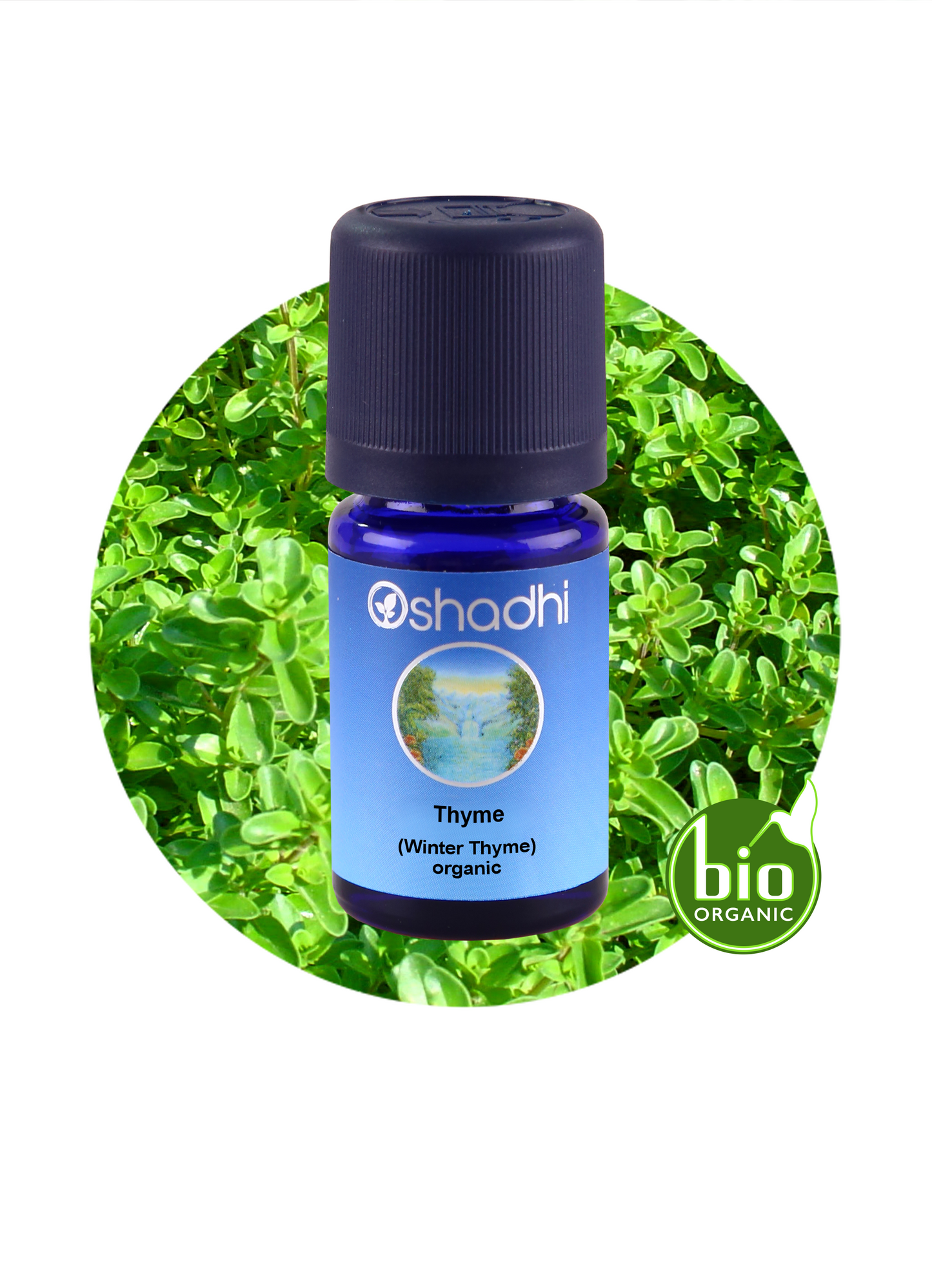 Thyme, Winter (organic)