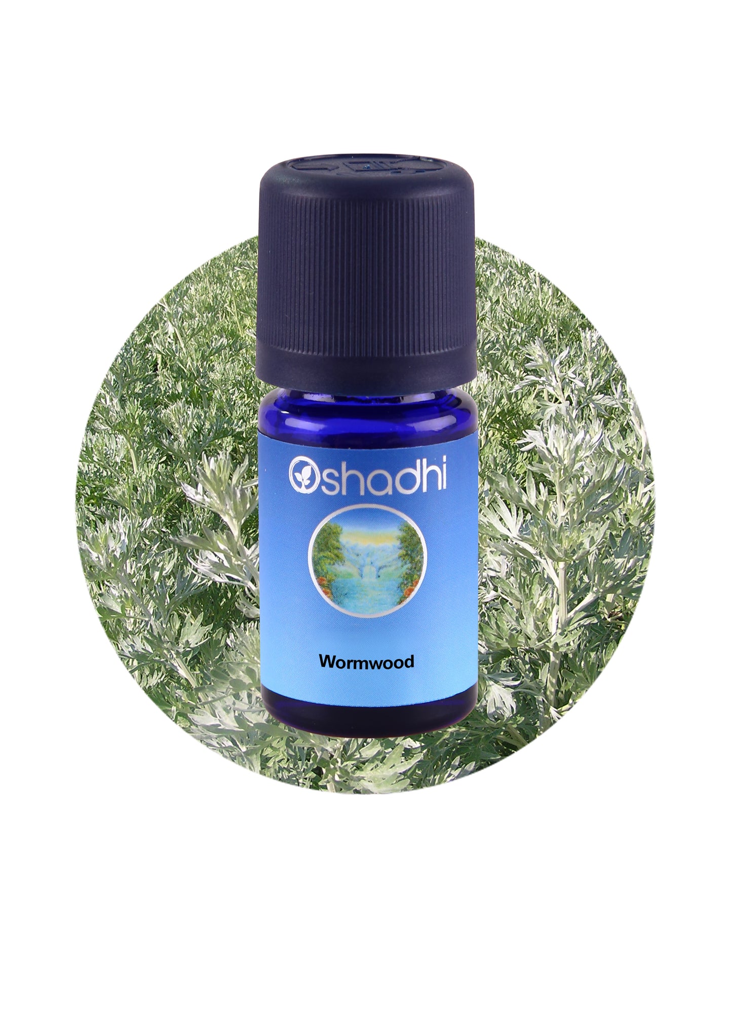 Wormwood (Artemisia absinthium)