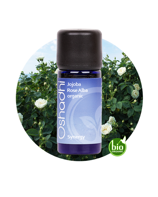 Rose Alba (White Rose) Oil in Jojoba Oil