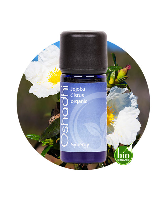 Cistus Oil in Jojoba Oil