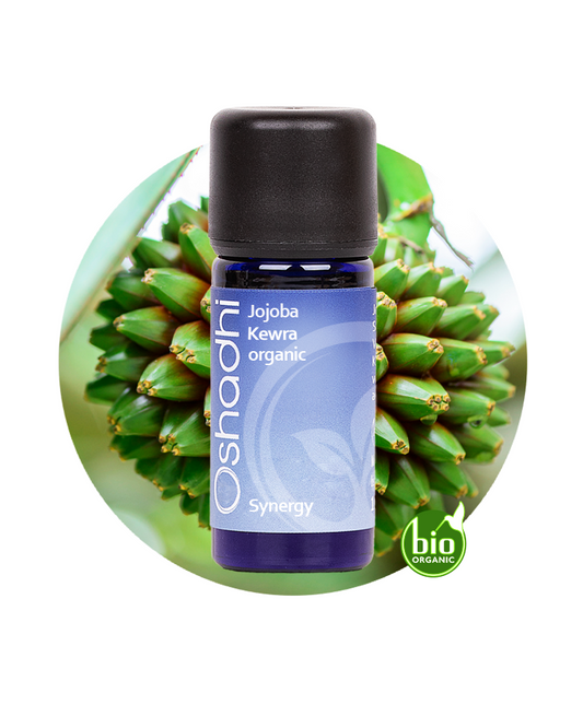 Kewra Oil in Jojoba Oil