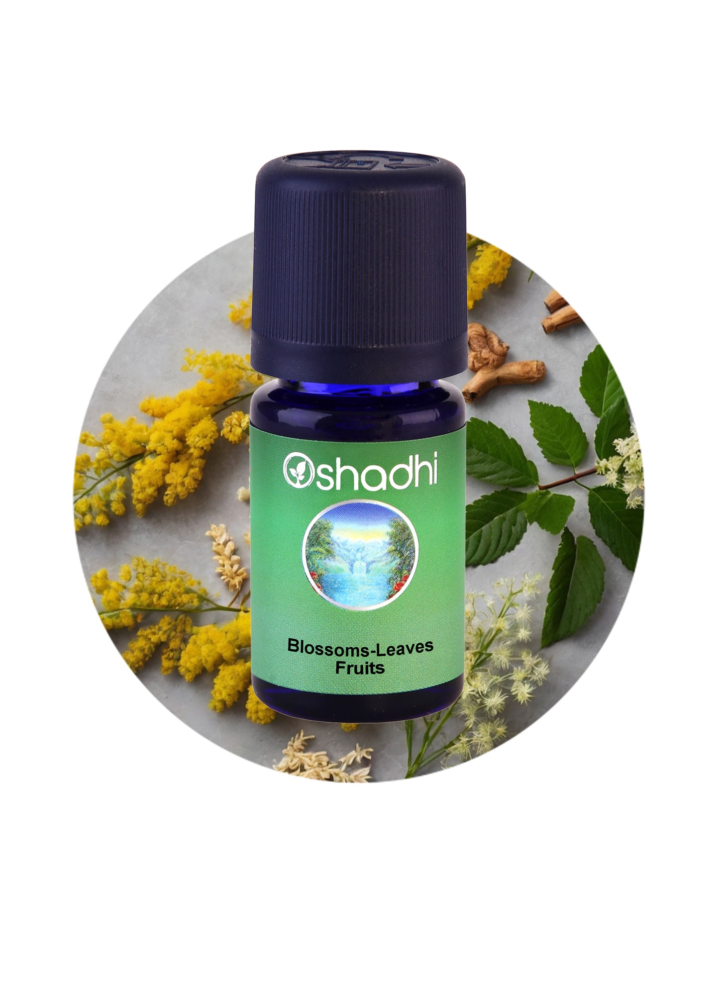 Blossoms-Leaves-Fruits