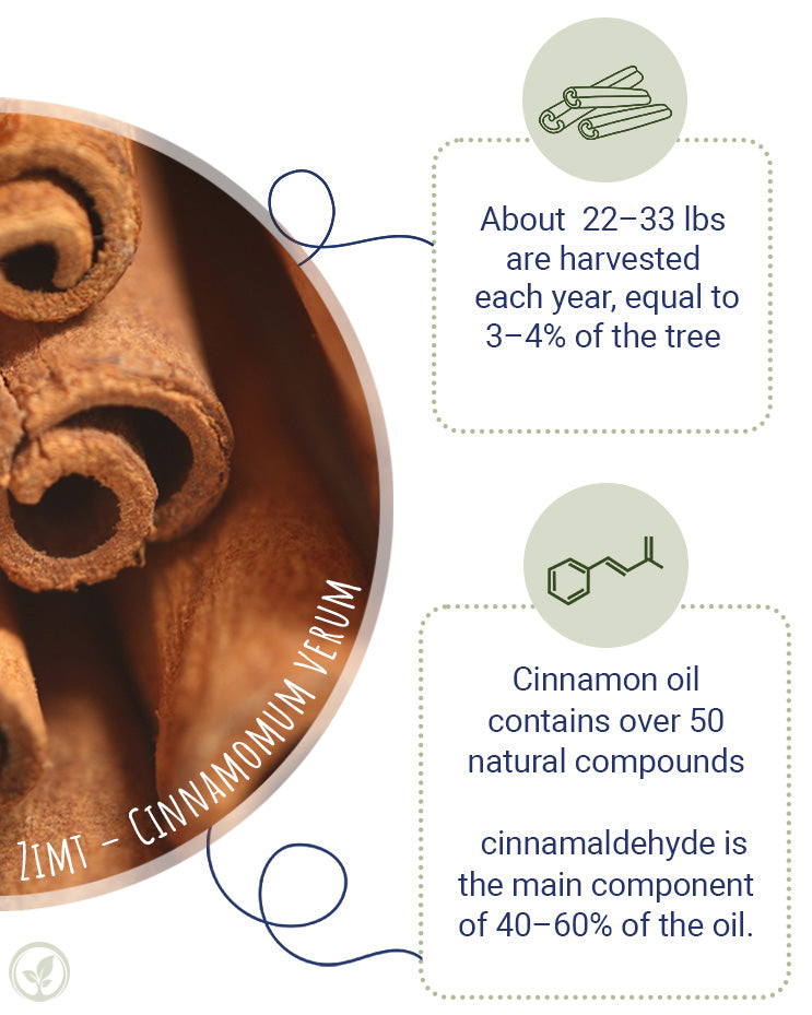 Cinnamon Bark, Madagascar (organic)