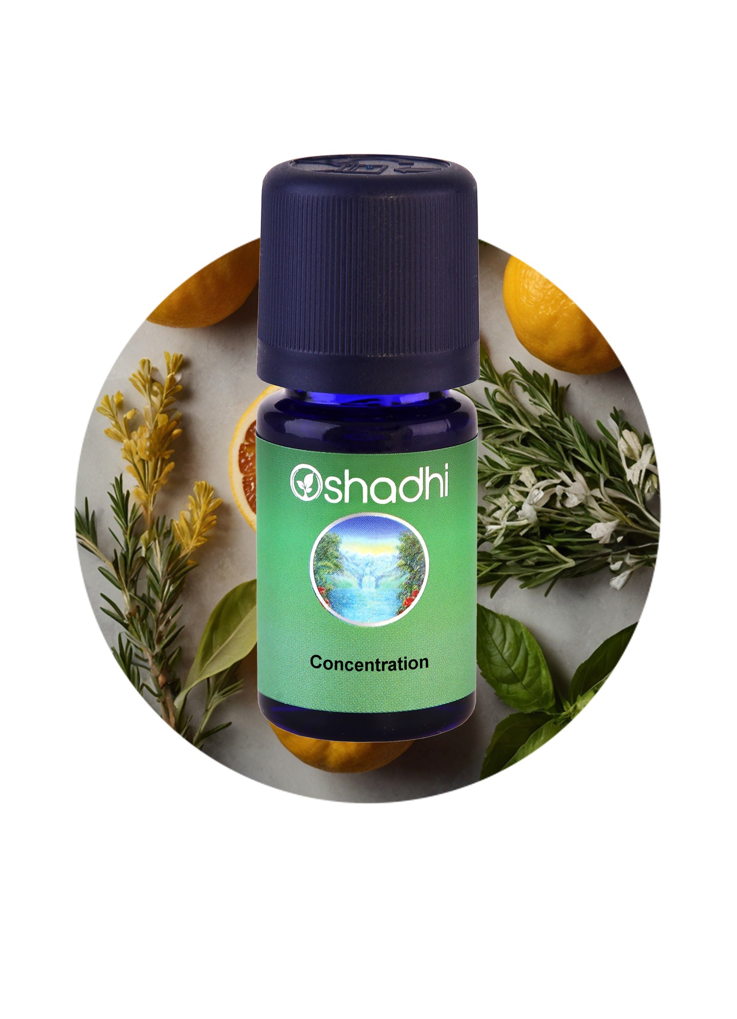 Concentration Synergy Blend