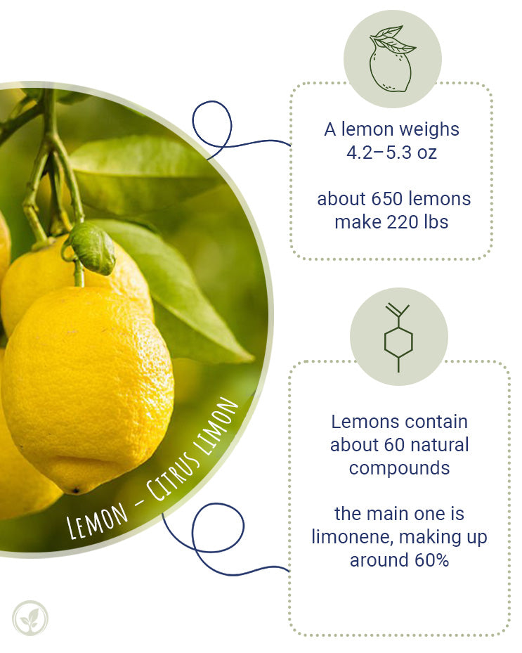 Lemon, Yellow (organic)