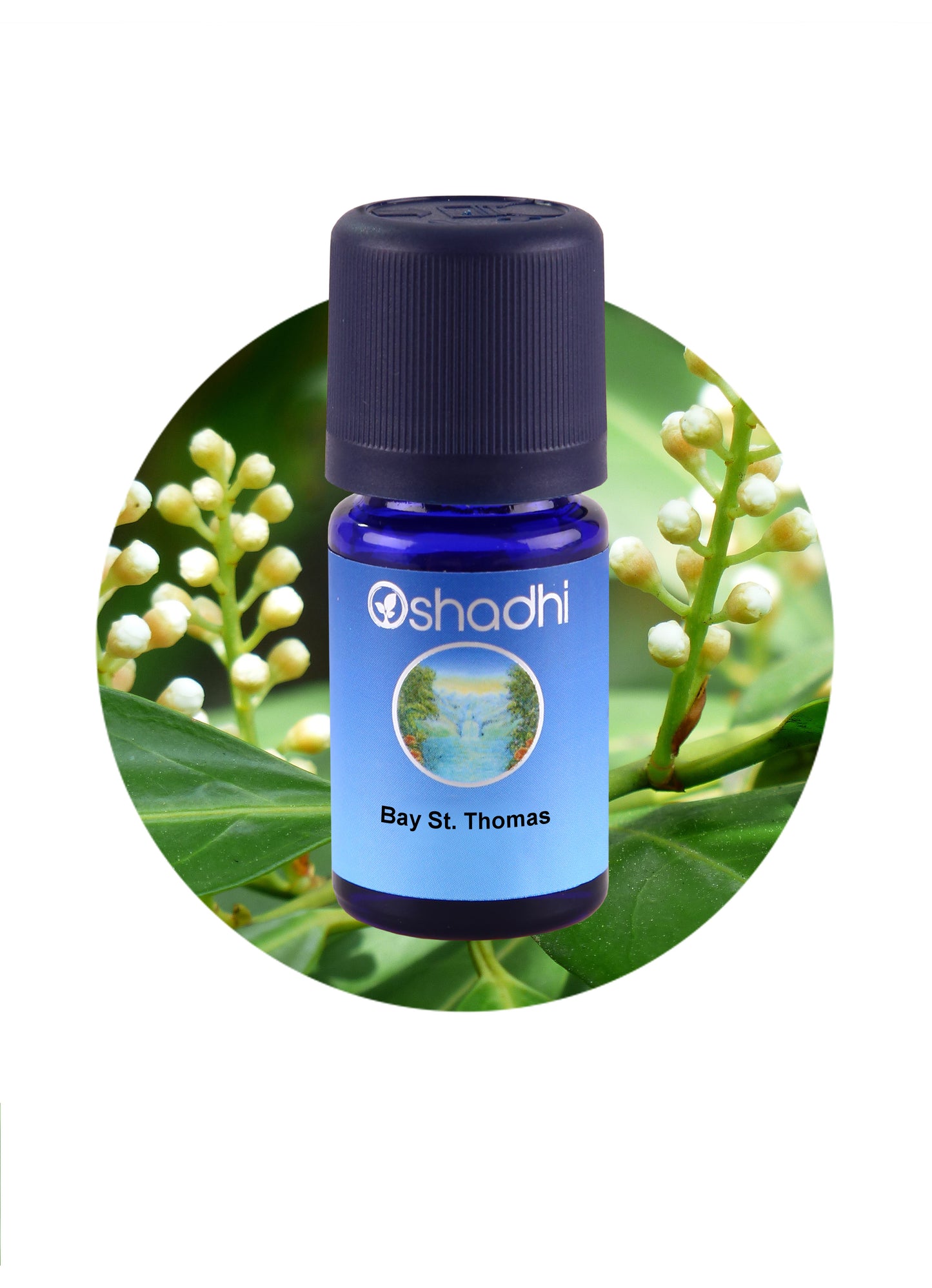 Bay St. Thomas *Clearance