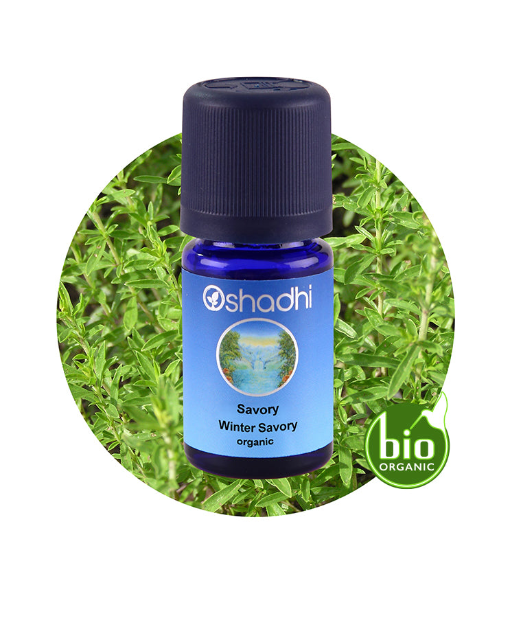 Savory, Winter (organic) *Clearance