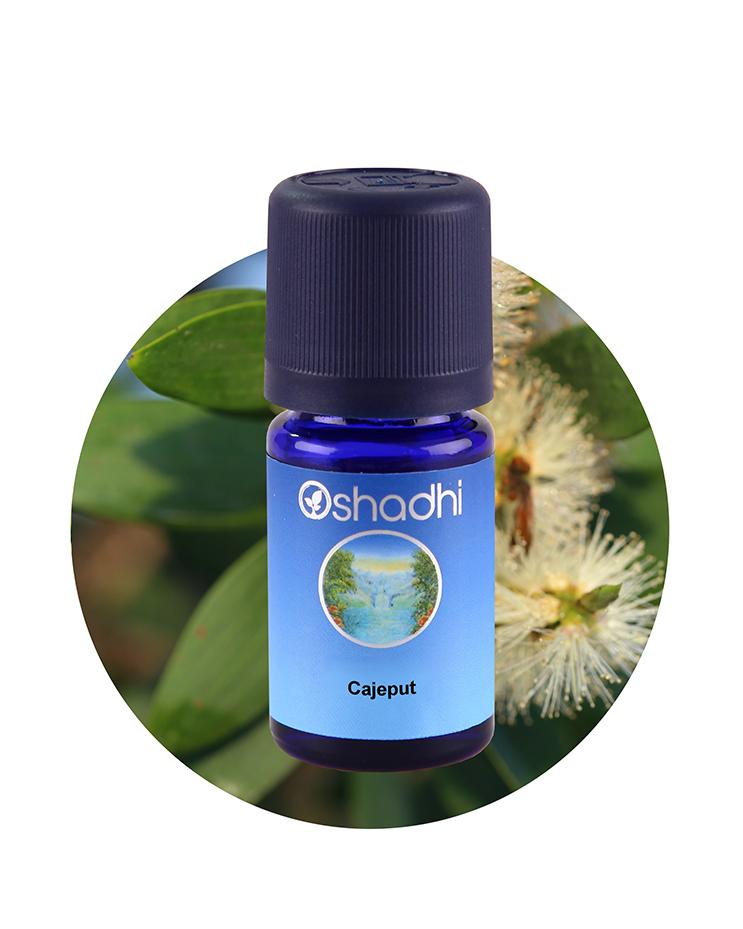 Cajeput / Melaleuca leucadendron (organic)