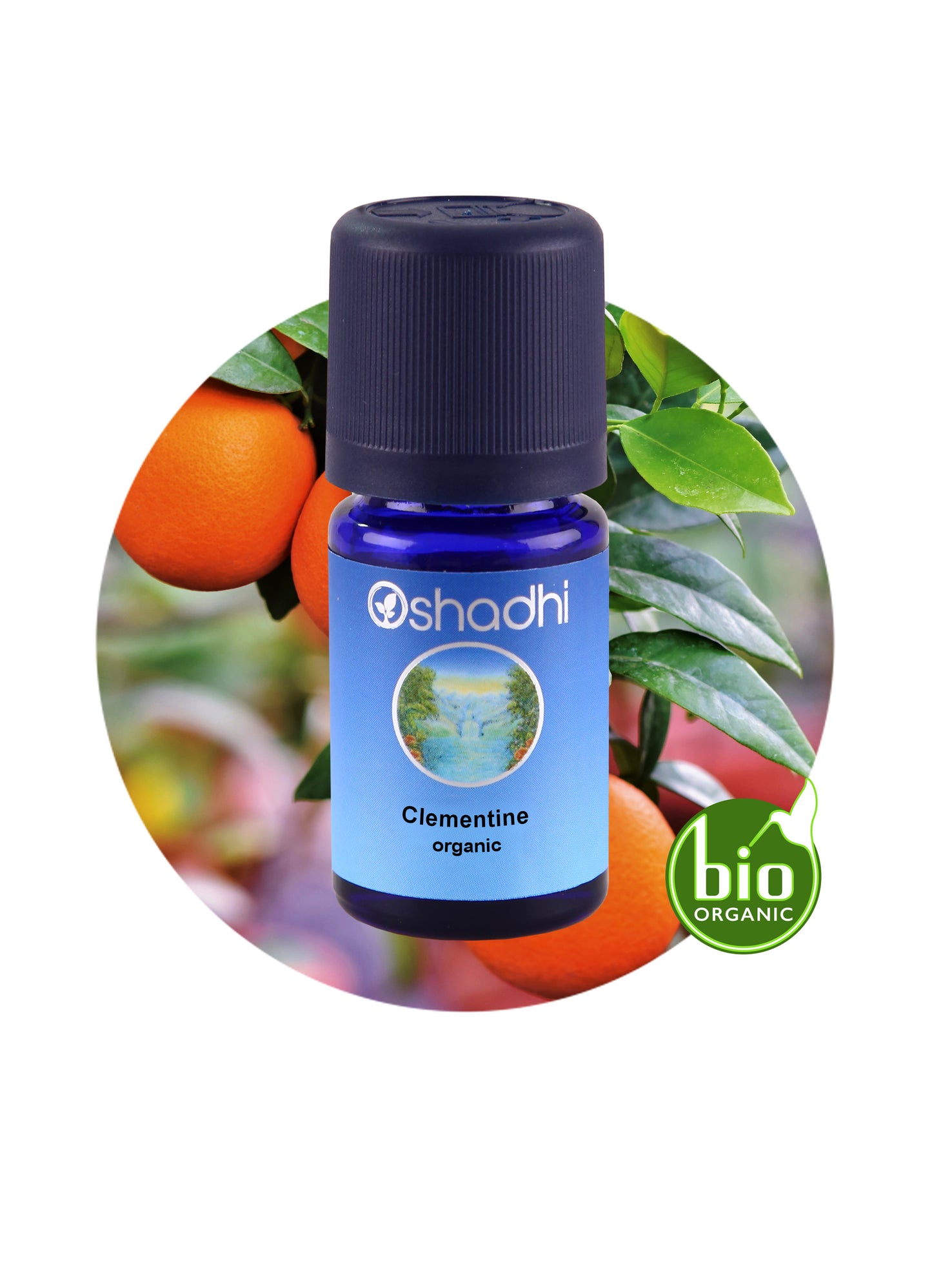 Clementine (organic)