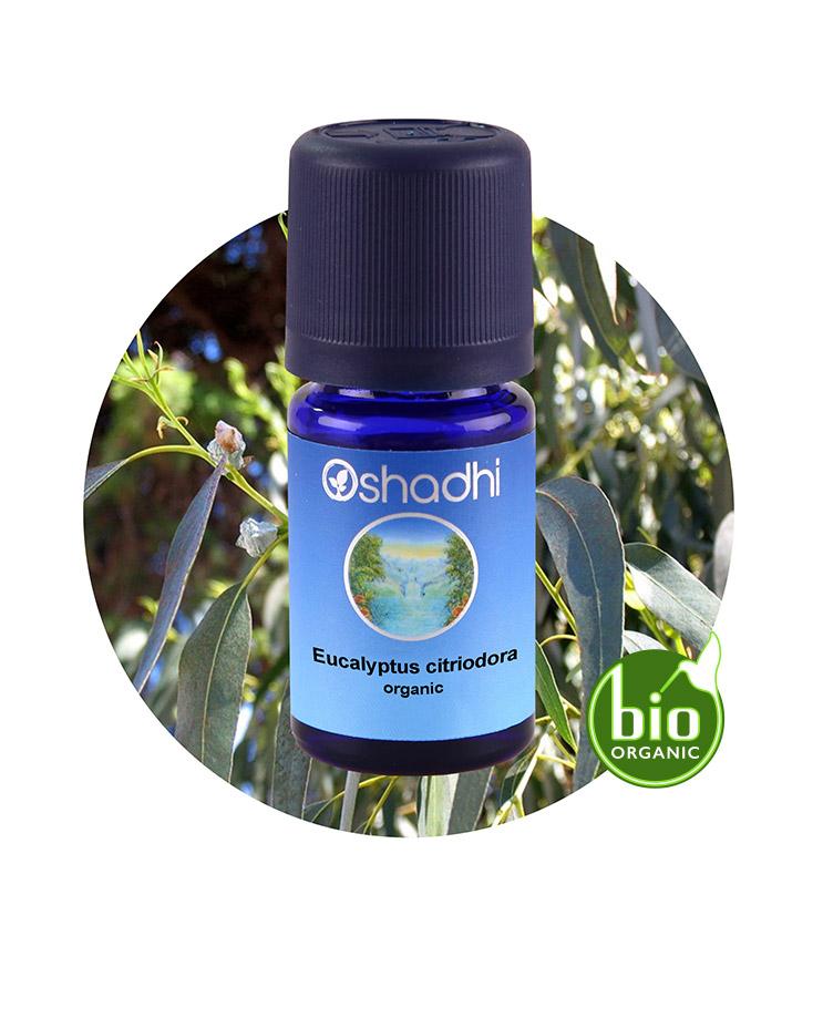 Eucalyptus Citriodora (organic)