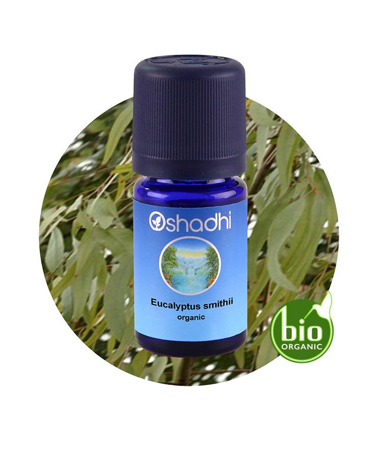 Eucalyptus Smithii (organic)