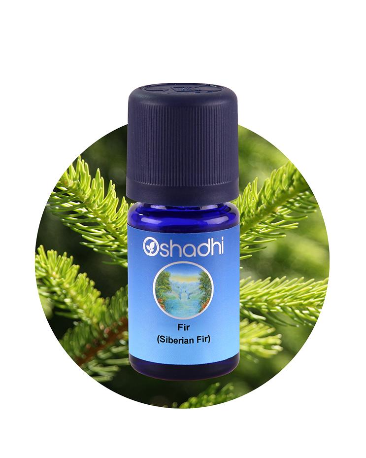 Fir, Siberian