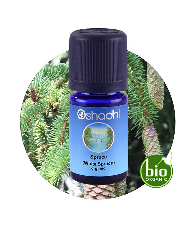 Spruce, White (Organic)