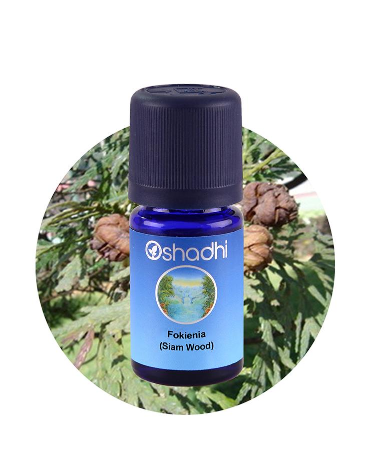 Fokienia (Siam Wood)