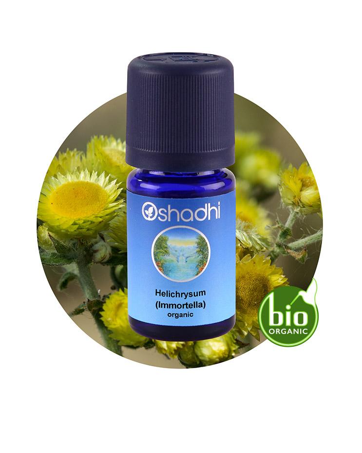 Helichrysum Italicum / Immortella (Organic)