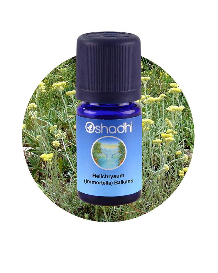 Helichrysum Italicum, Balkans / Immortella (Organic)