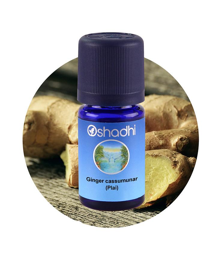 Ginger cassumunar (Plai)