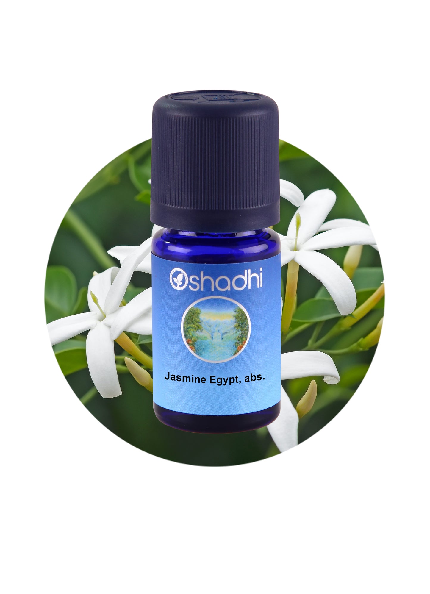 Jasmine, Grandiflorum, Egypt (Absolute)