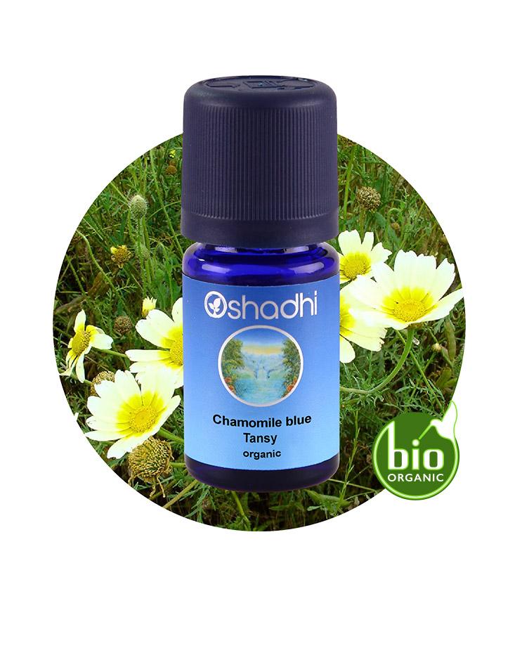 Blue Tansy / Blue Chamomile (Organic)