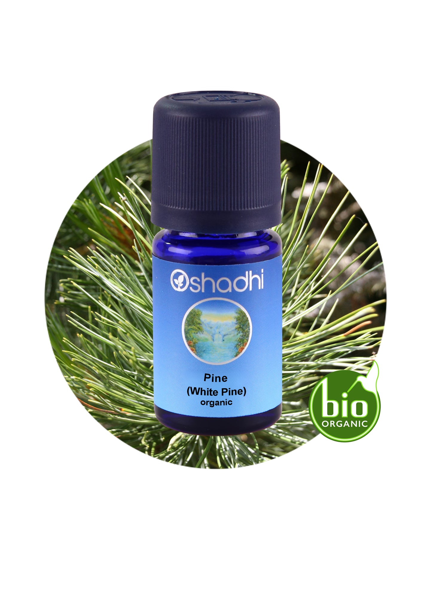 Pine, White (Organic)