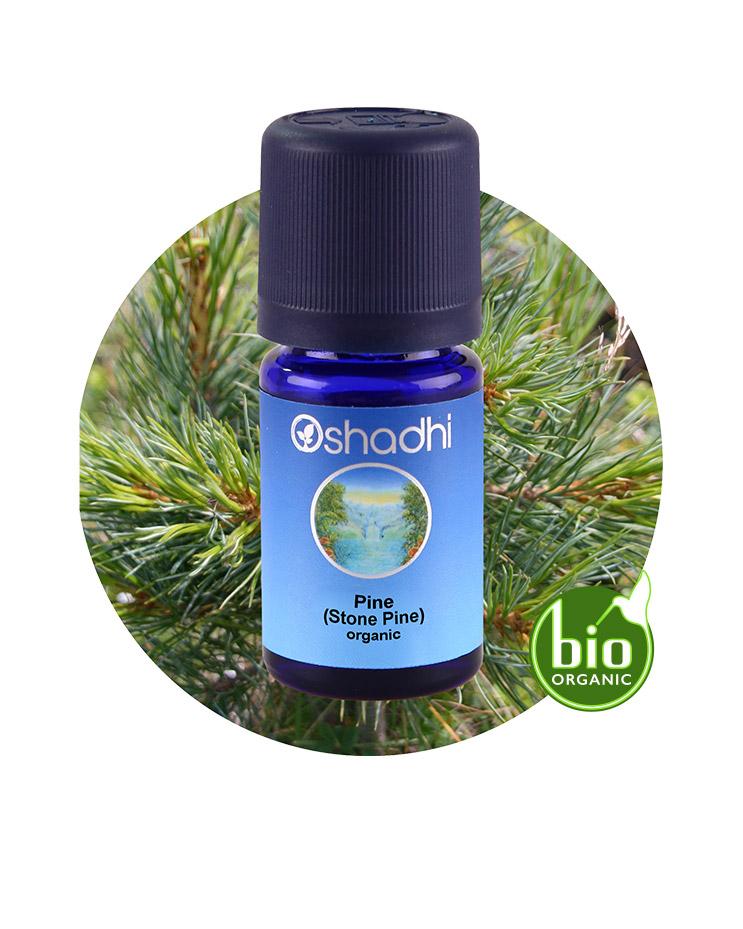 Pine, Stone (organic)