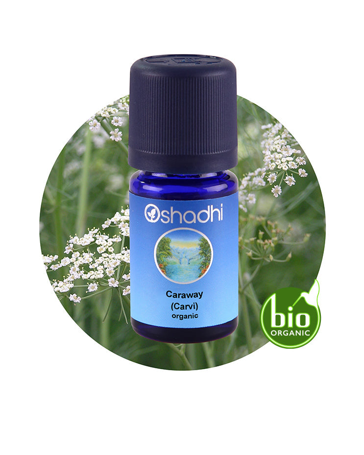 Caraway, Carvi (organic) *Clearance