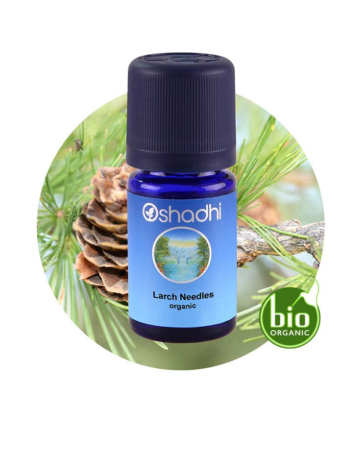Larch Needles (Organic)