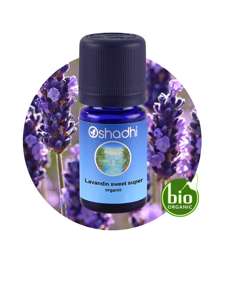 Lavandin Sweet Super (organic)