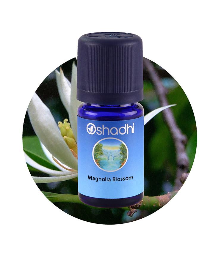 Magnolia Blossom