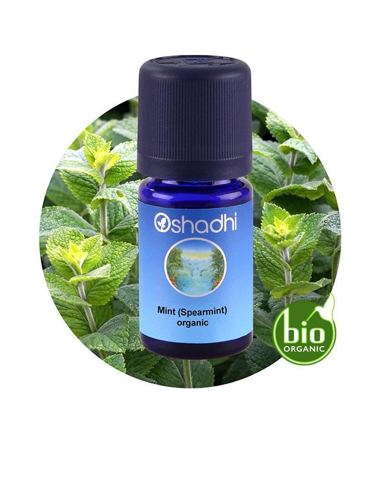 Mint, Spearmint (organic)