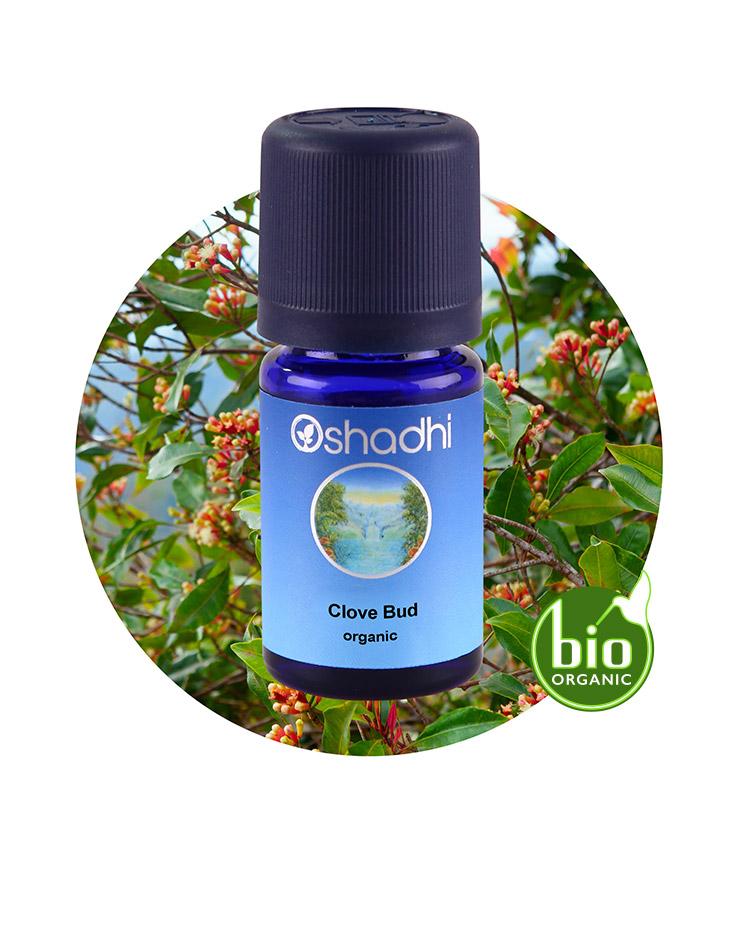 Clove Bud (organic)