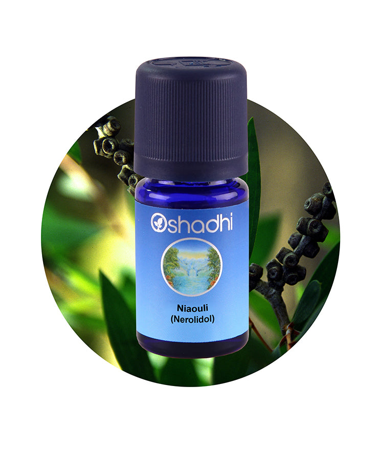Niaouli (Nerolidol) *Clearance