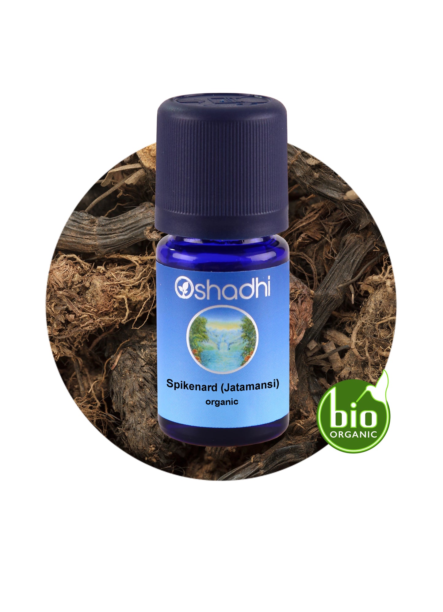 Jatamansi / Spikenard (organic)