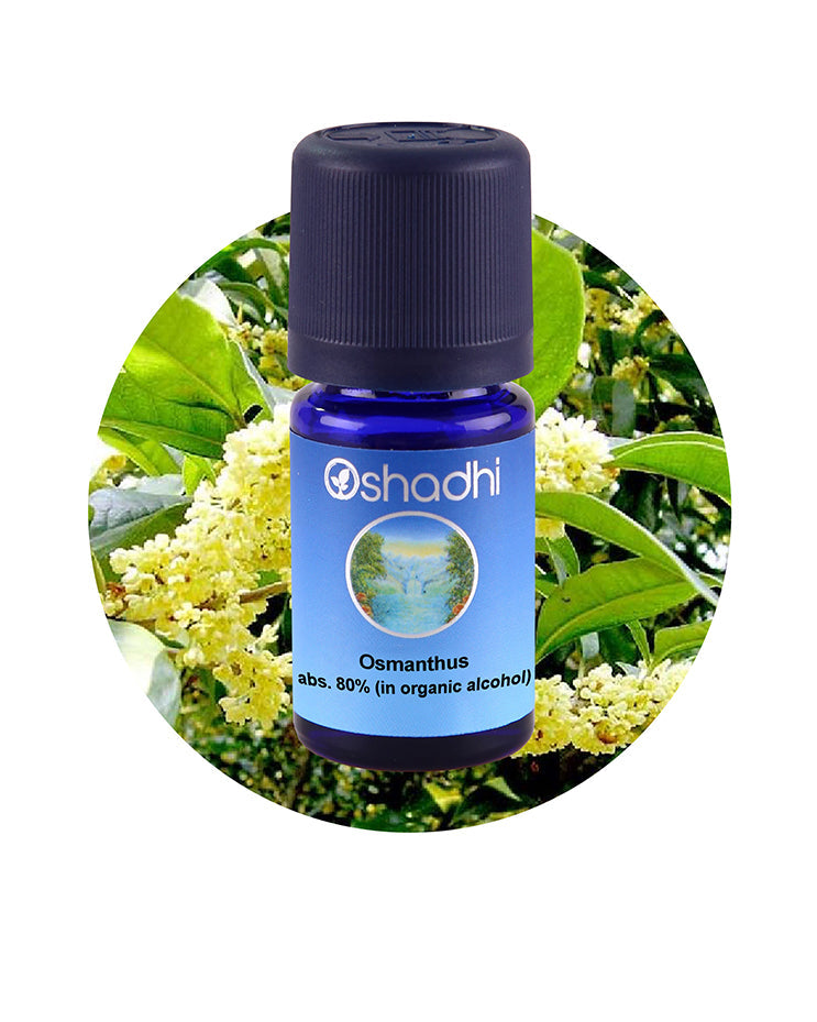 Osmanthus, abs. 80% (in organic alcohol)