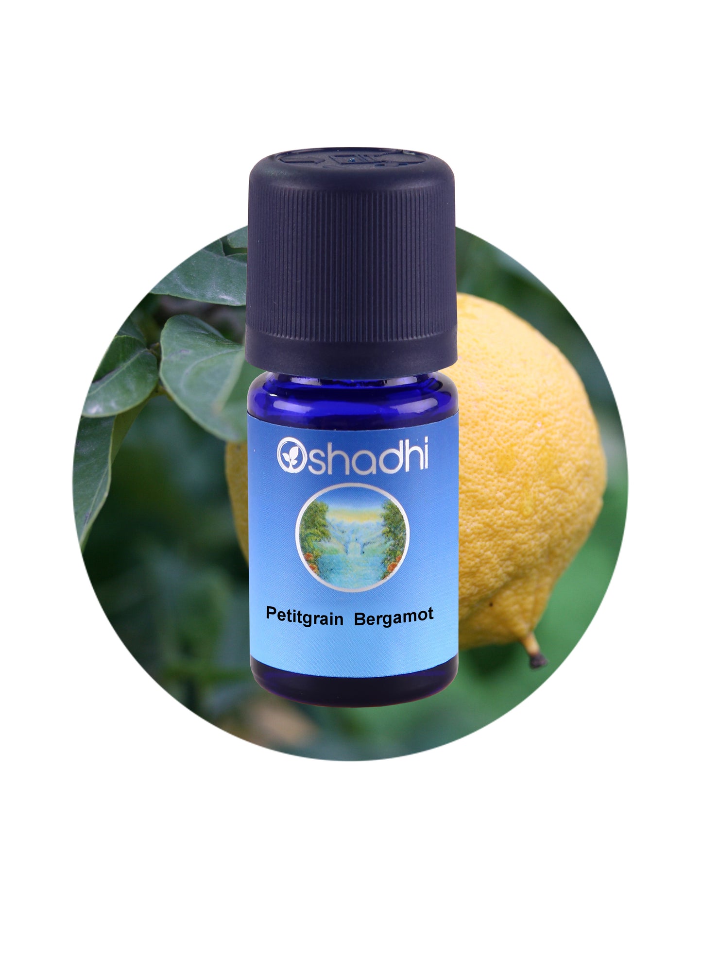 Petitgrain, Bergamot *Clearance