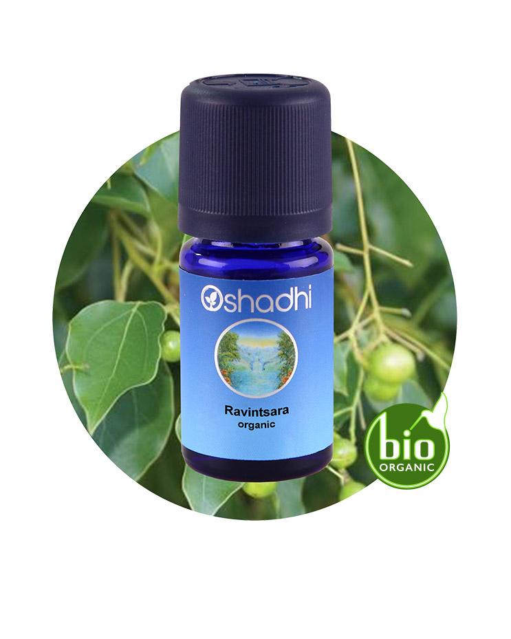 Ravintsara Oil (organic)
