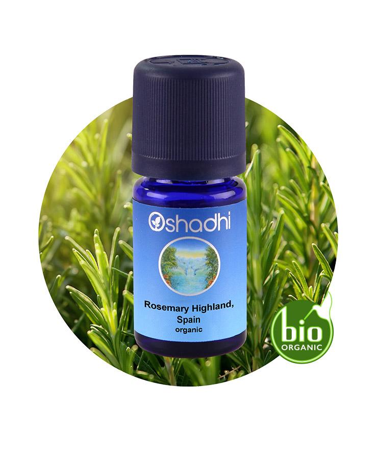 Rosemary Highland, Spain organic Essential Oil