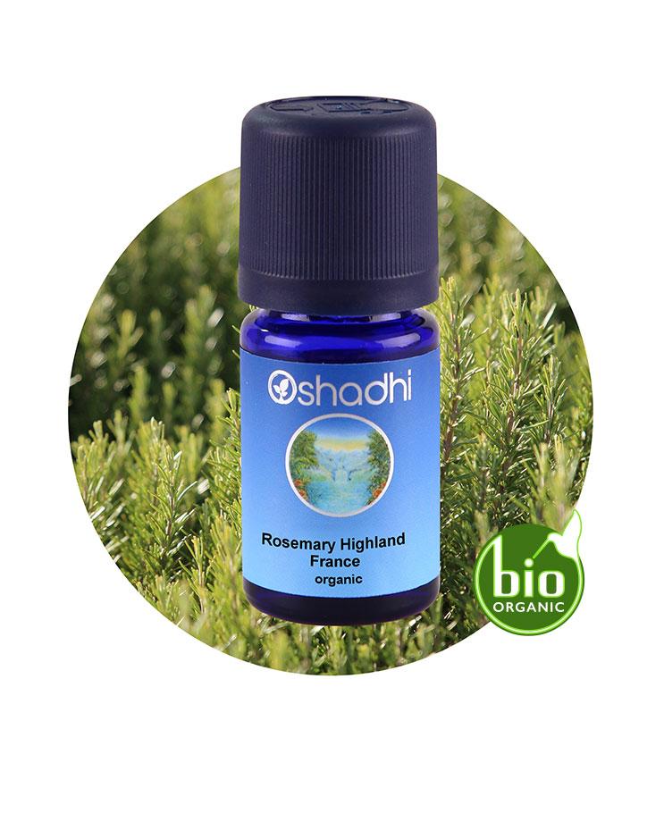 Rosemary Highland, France (organic)