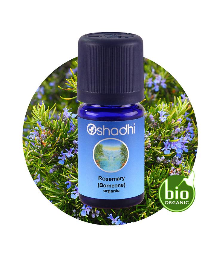 Rosemary, Borneone (organic)